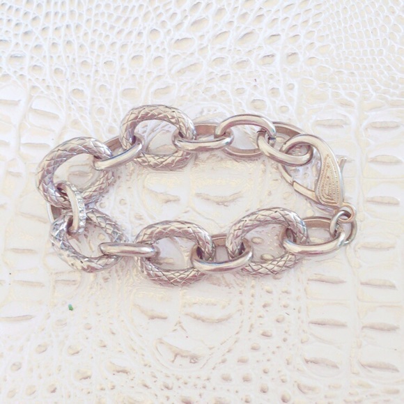 Jewelry - Silvertone Large Link Bracelet